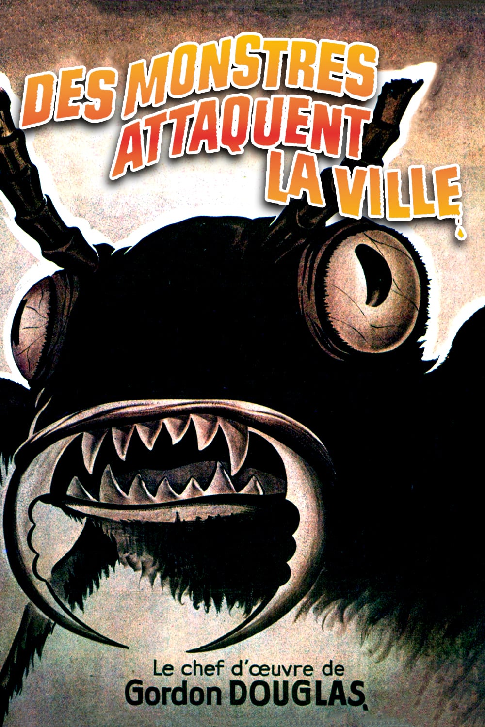 TOURNOI "64 FILMS D'ANIMAUX TUEURS" - 2